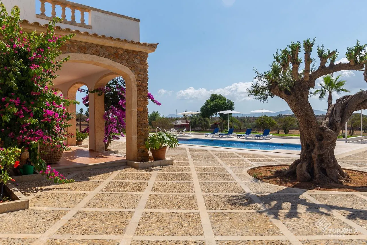 Villa Turquesa Santa Margalida